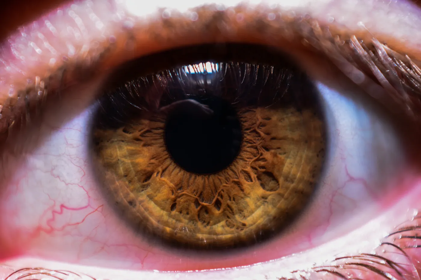 Extreme close-up of a hazel human eye with detailed iris textures and reflected light.